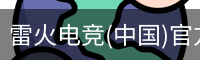 雷火电竞